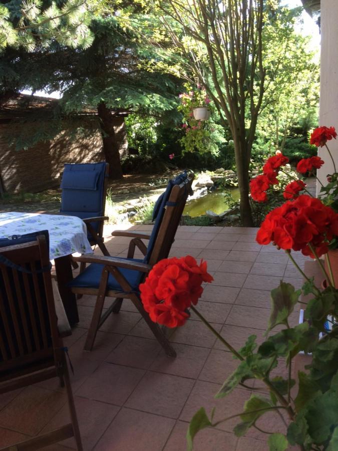 Oereghaz 1839 Otel Csopak Dış mekan fotoğraf
