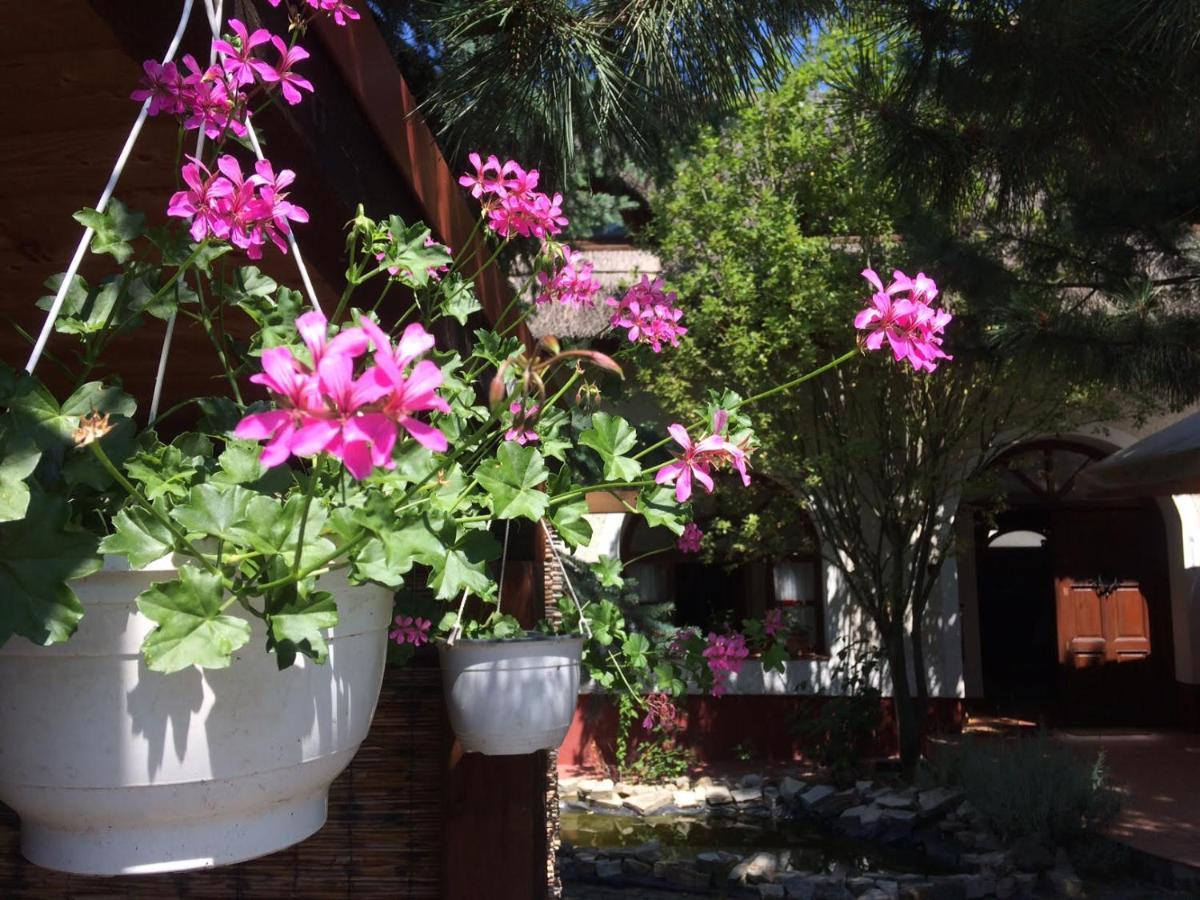 Oereghaz 1839 Otel Csopak Dış mekan fotoğraf
